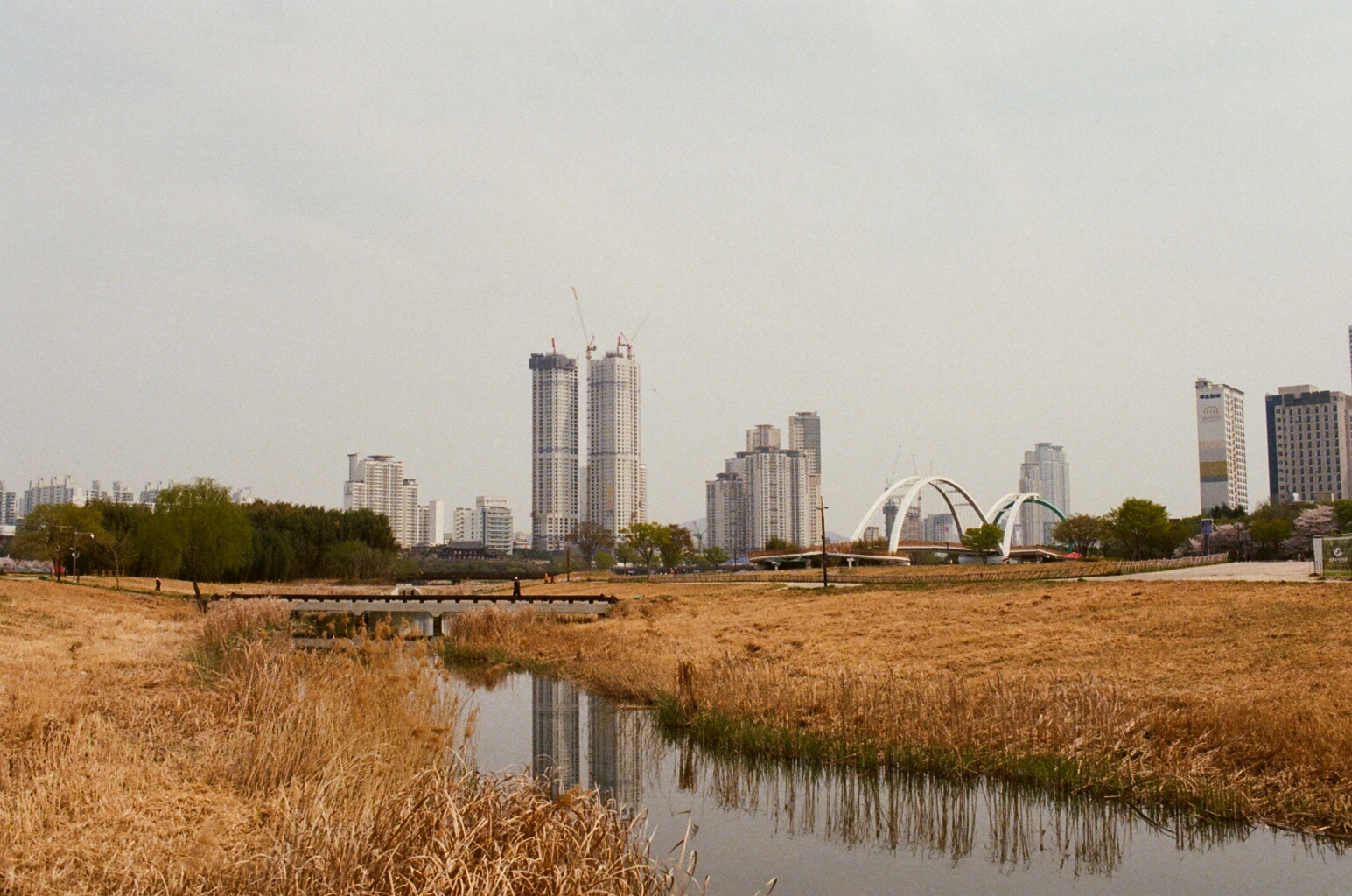 Film photograph — korea