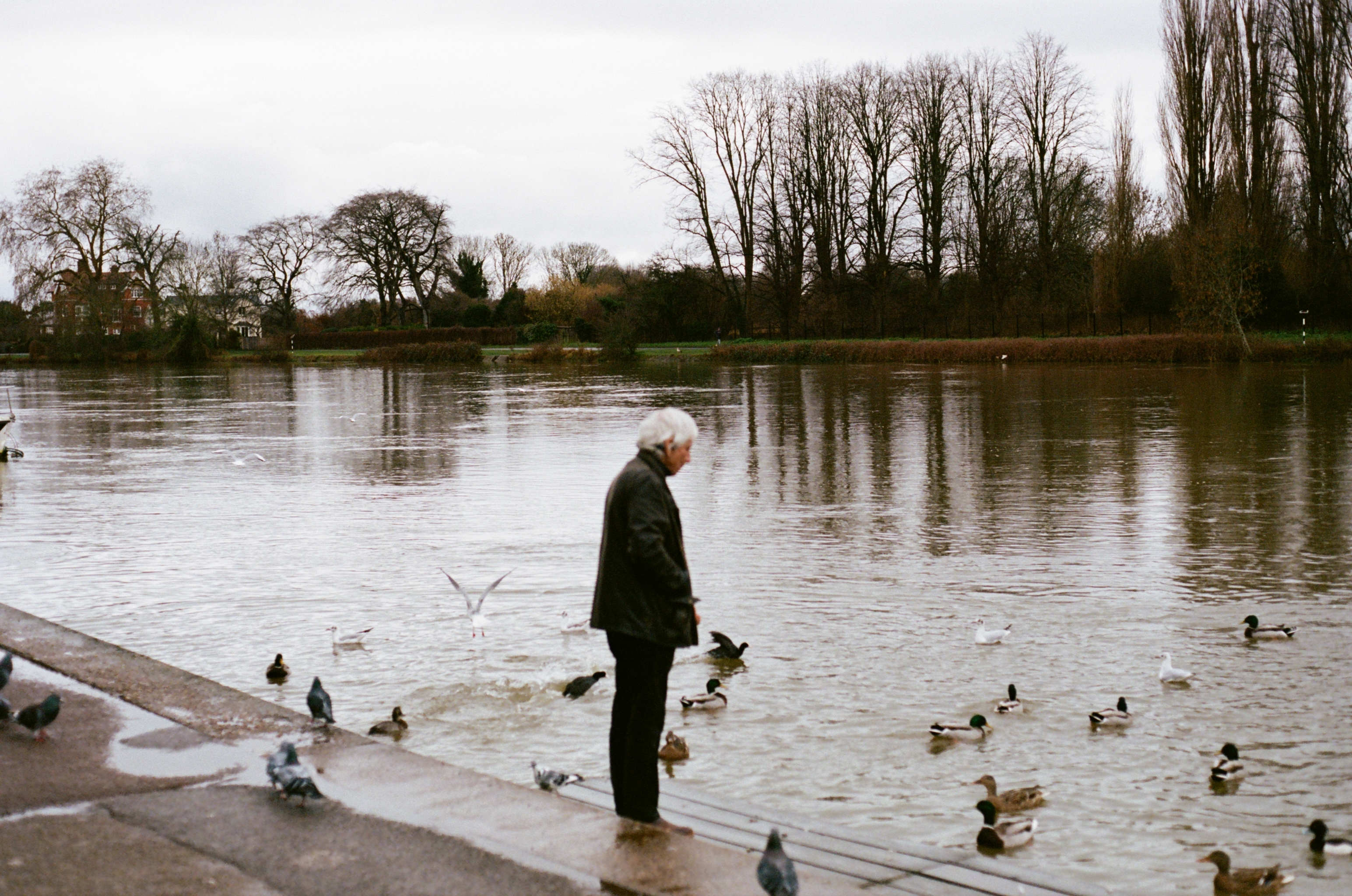 Film photograph — richmond