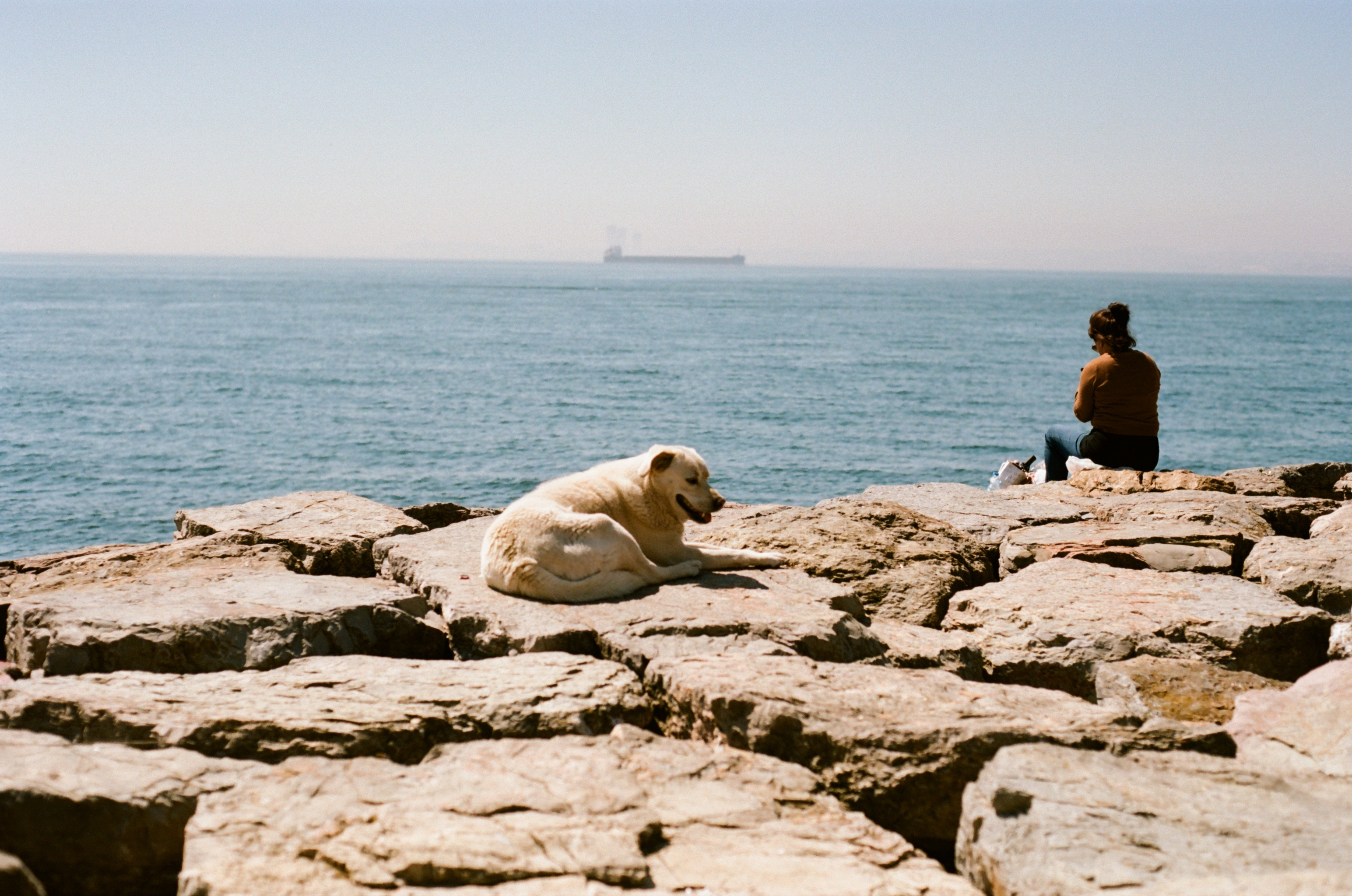 Film photograph — istanbul 2